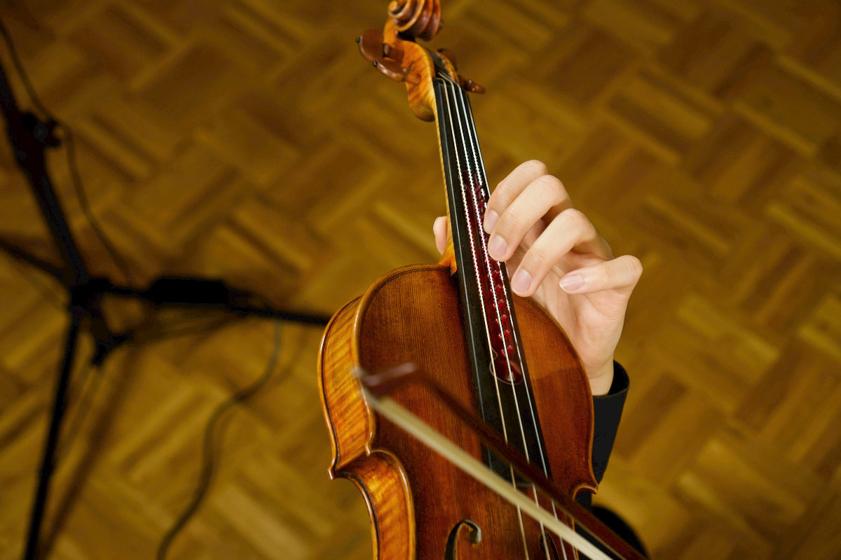Resounding Fingerboard Violine
